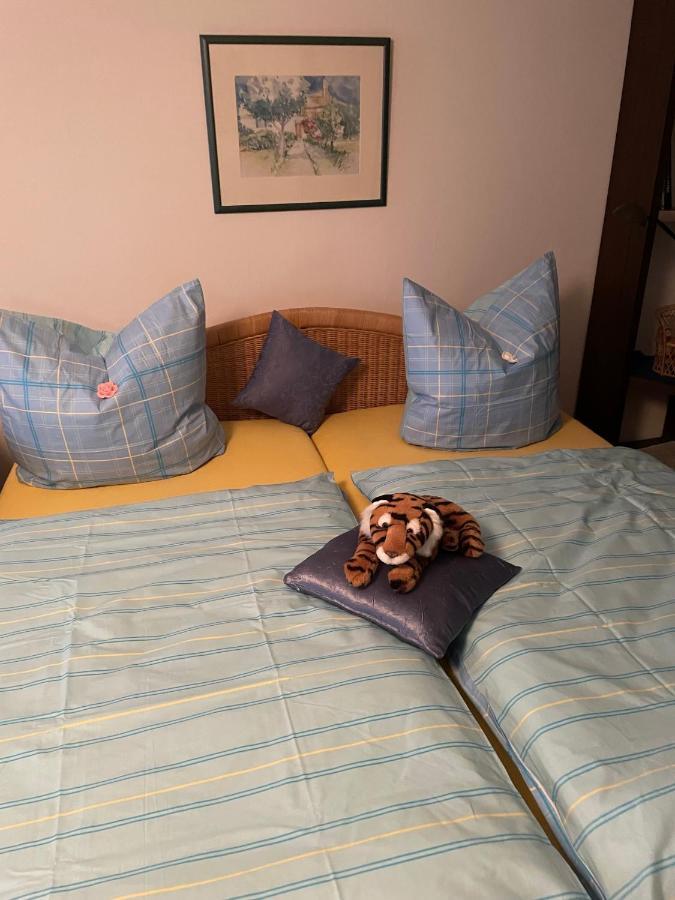 Schoene Ferienwohnung In Bahnhofsnaehe Fuer Urlaub, Studium Oder Arbeit Deggendorf Ngoại thất bức ảnh